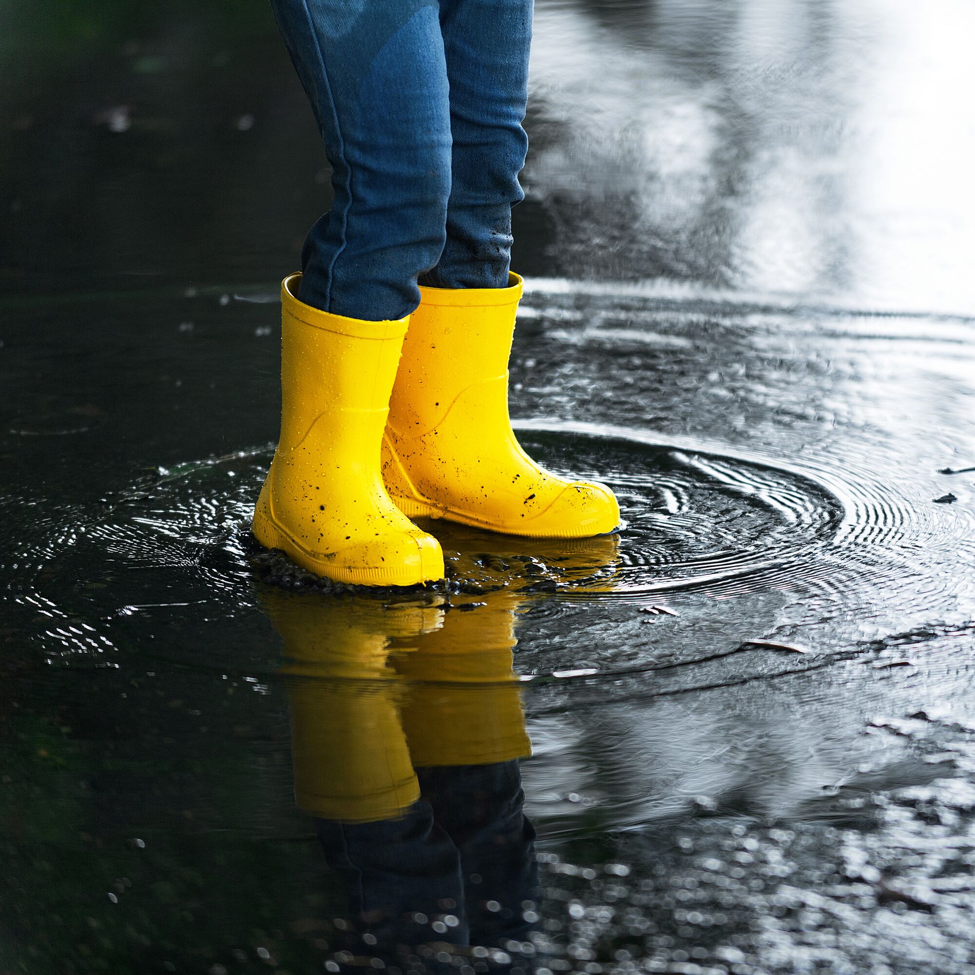 the child plays and runs through the puddles in bright yellow rubber boots