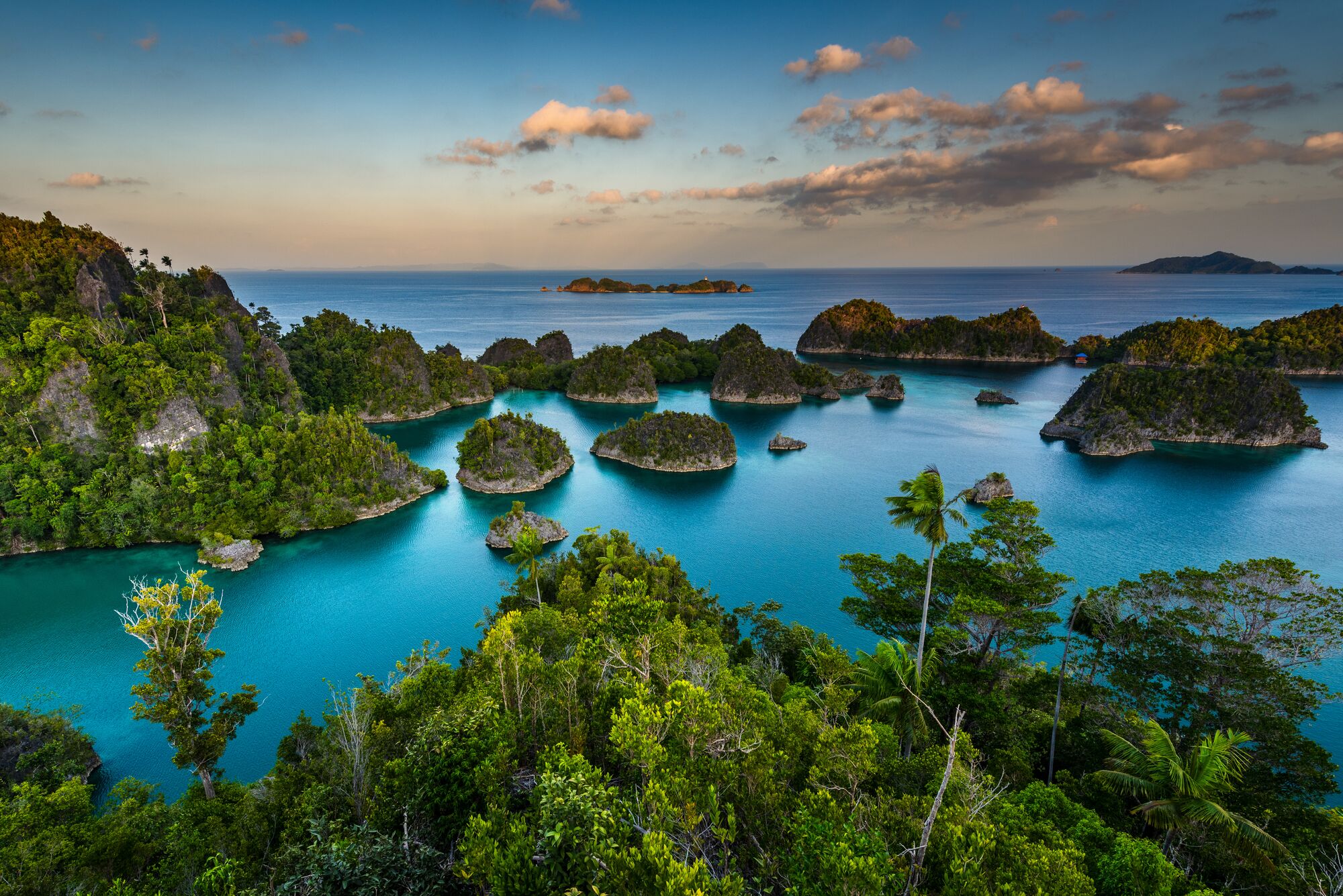 A.com / Region / APAC