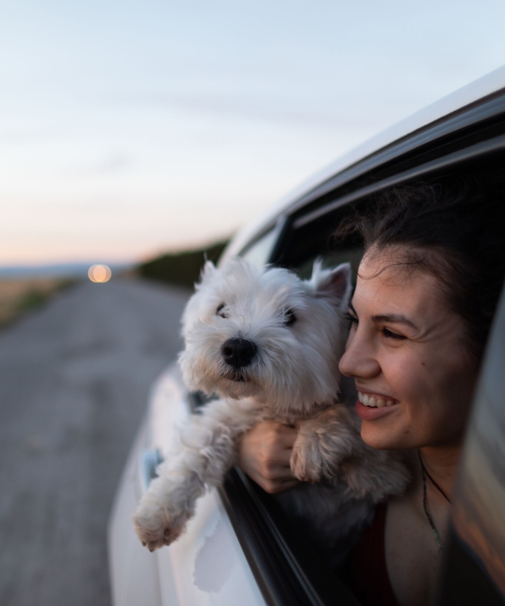 Personalized Solutions for Dealership Profitability | Assurant